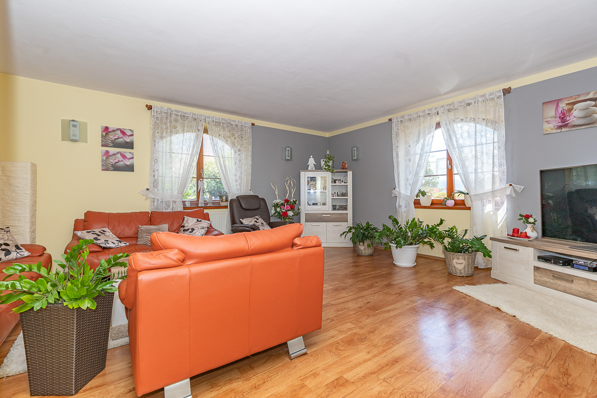 obývací pokoj s TV, okny, gauči, konefernční stolek a květiny